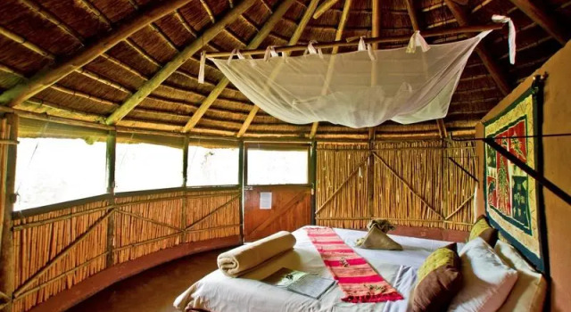 Bateleur Safari Camp, Réserver Hôtel Ngala Afrique du Sud