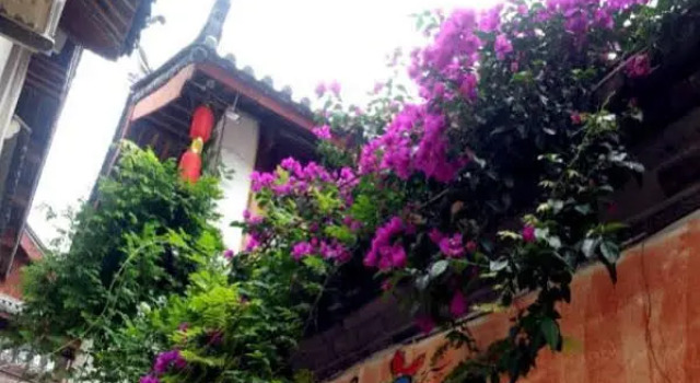 The Secret Garden Guest House, Забронировать Гостевой дом Лицзян Юньнань, рядом с Улица Сквер-стрит Древнего города Даянь