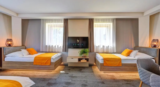 Четырёхместный номер Standard с видом на горы Fénix Inspiration Design Hotel