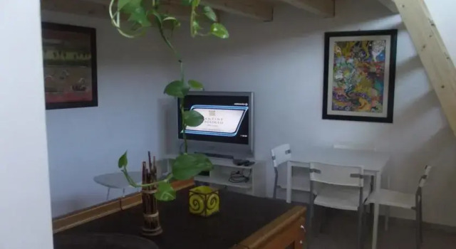 Casa Aloe Vera