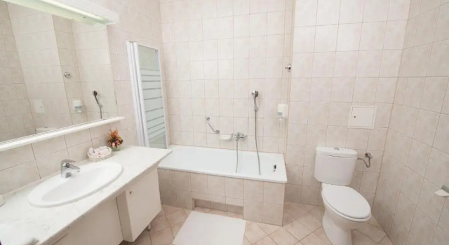 Двухместный номер Standard Szarvaskút Hotel