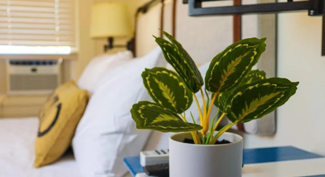 Двухместный номер Standard Mercury Hotel Provincetown