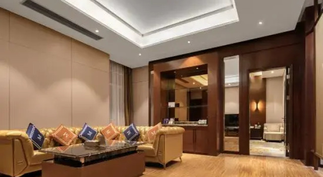 Люкс Presidential Yating Bussiness Hotel