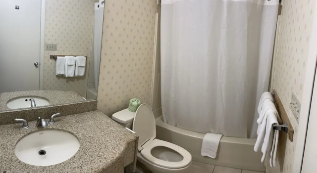 Номер Deluxe Whitney Inn & Suites