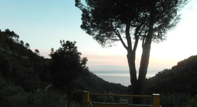 Четырёхместный номер Standard Agriturismo Costa di Campo