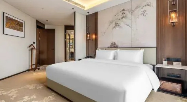 Люкс Superior Meishan Hotel