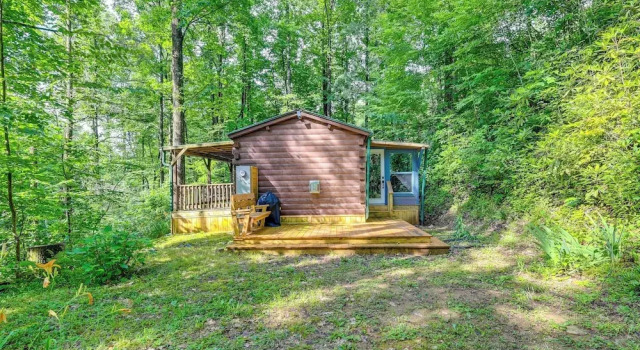 Rosman Vacation Rental w/ Charcoal Grill!, Забронировать Отель Отели Росмен 3 звезды, 3*