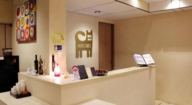 Hotel Cats Suwon, Reserva ahora Hotel Suwon Gyeonggi-do, cerca de Parque Seoho