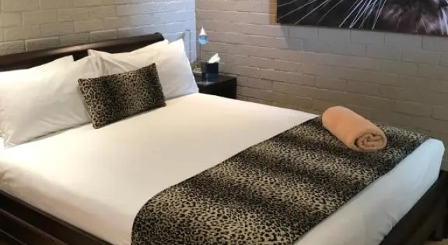 Номер Deluxe Zebras Guest House Geraldton