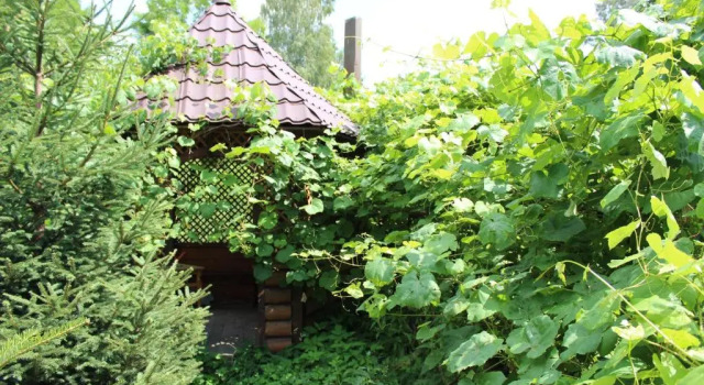 Goryanka, Prenota Hotel Hotel a Ivano-Frankovsk con parcheggio, Parcheggio