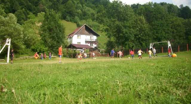 Вилла Vila Doina Branului