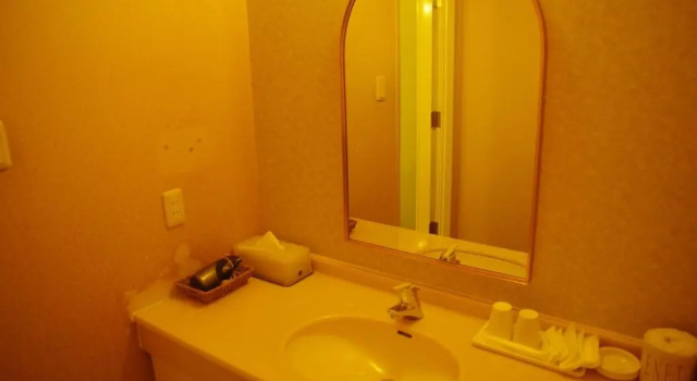 Двухместный номер Deluxe Gifu Castle Inn