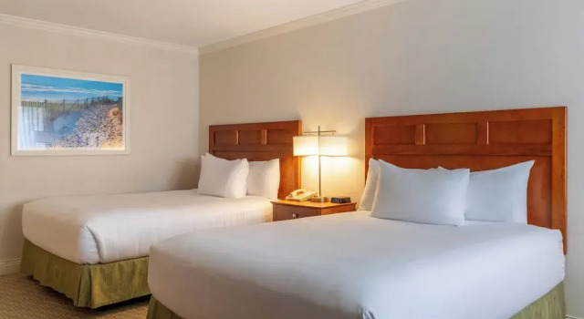 Четырёхместный номер Premium Juniper Hill Inn