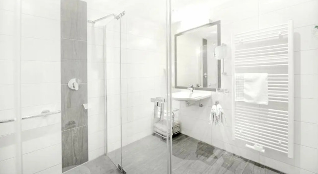 Двухместный номер Standard Hotel Alpina Superior