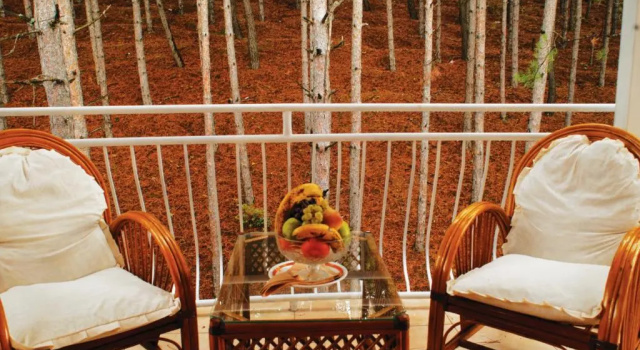 Номер Standard Hotel Belvedere