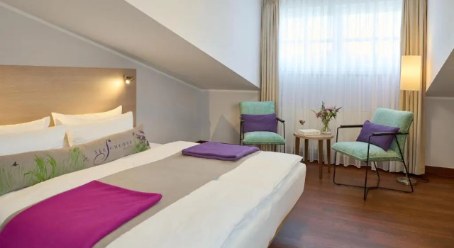 Двухместный номер Standard Hotel Seeschloss