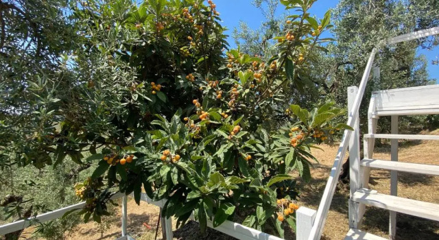Бунгало I Giardini Di Margius