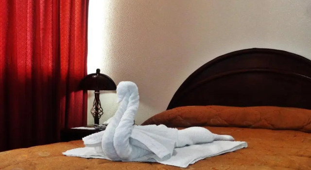 Двухместный номер Standard Hotel Alexander
