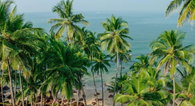 Credo Jungle Resort - Agonda, Varaa Lomakeskus Hotellit Agonda pysäköinnillä, Pysäköinti