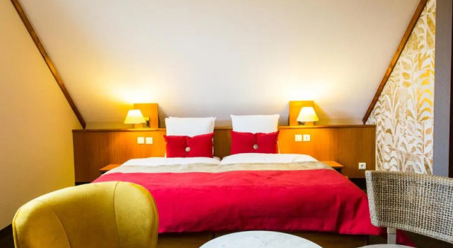 Номер Superior James Vignoble Hôtel, Eguisheim