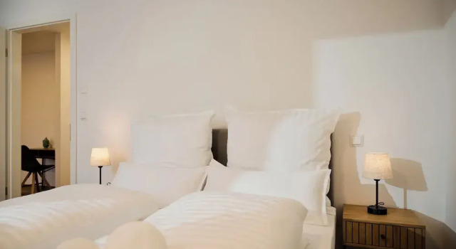 Апартаменты Business Moderne Apartments Bad Kissingen
