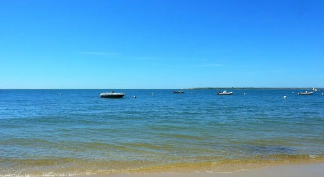 Appartement Arcachon, 3 pièces, 6 personnes - FR-1-420-107, Забронировать Апартаменты/квартира Апартаменты Бассен-д'Аркашон, Апартаменты/квартира