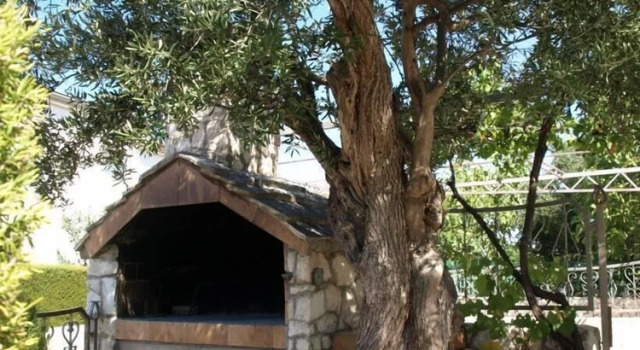Željka - 25m From the Beach - A1
