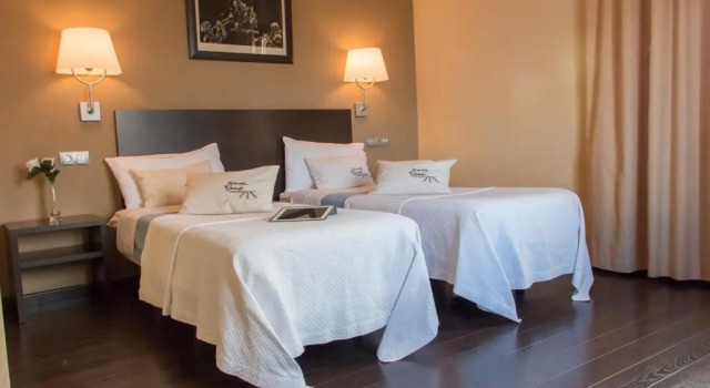 Двухместный номер Standard Hotel El Sueño de Jemik