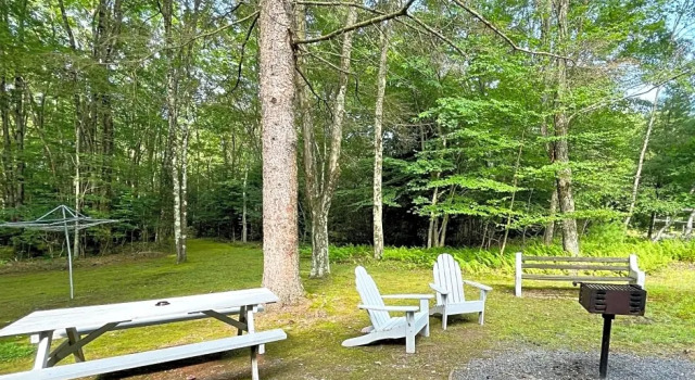 Студия Mountain Springs Lake Resort