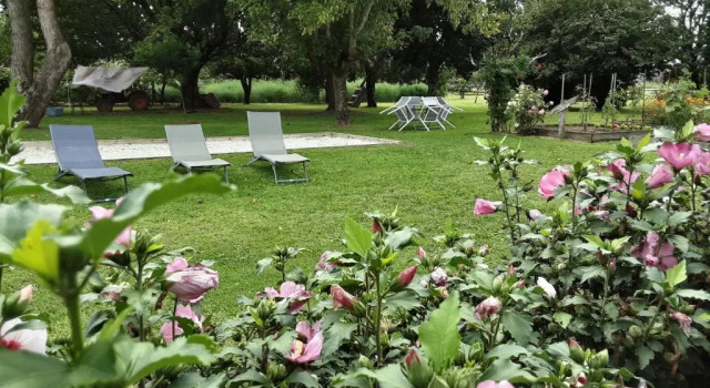 Kulübe Gîte " Les Tourterelles"