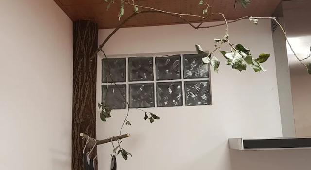 Habitación Estándar 2 dormitorios Gästehaus-Fulda
