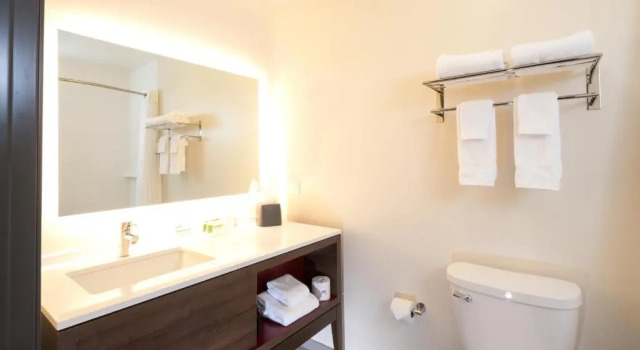 Номер Standard Holiday Inn & Suites Detroit - Troy by IHG