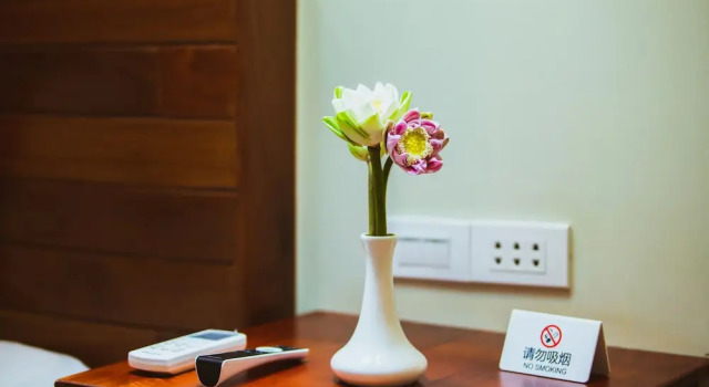 Семейный люкс Bayon Modern Residence