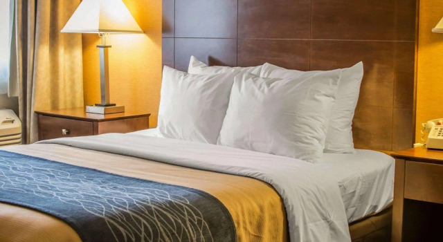 Двухместный номер Quality Inn & Suites Port Huron