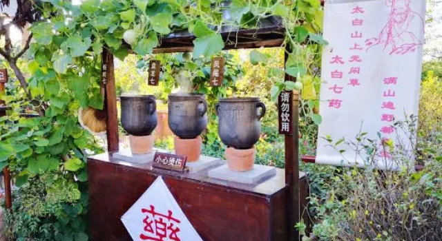 The Taibai Mountain Phoenix Spr Hotel, Prenota Hotel Hotel SPA a Shaanxi, SPA
