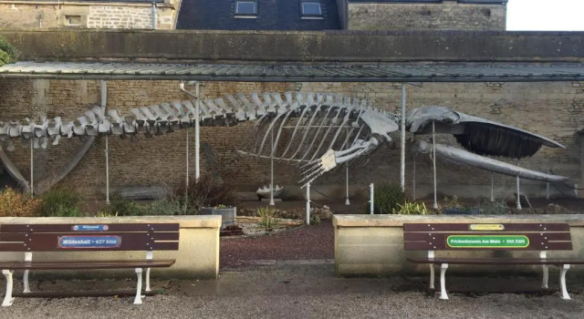 Коттедж Maison de pêcheur 30m de la plage