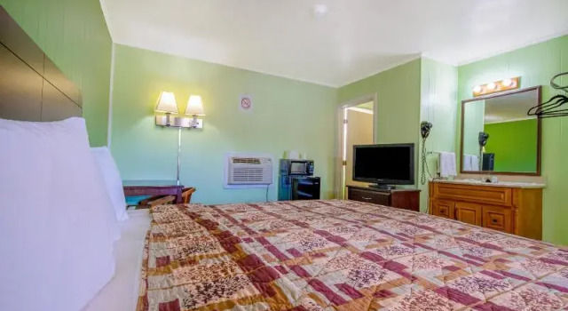 Одноместный номер Standard Travelier Motel