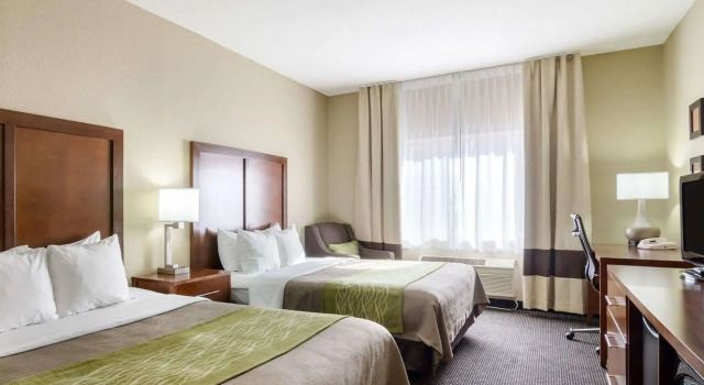 Четырёхместный номер Standard Comfort Inn Garden City