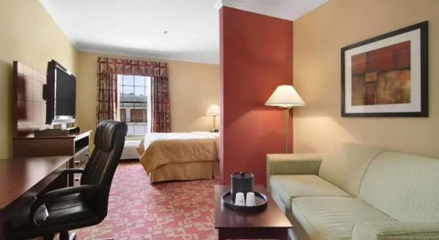 Одноместный номер Standard Comfort Inn & Suites Prince George - Fort Lee