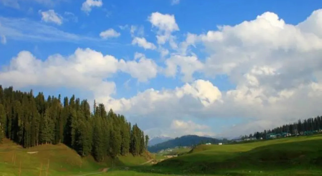 Номер Standard Gulmarg Meadows Resort