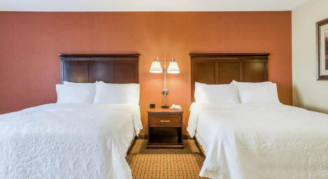 Четырёхместный номер Standard Hampton Inn Chattanooga-North