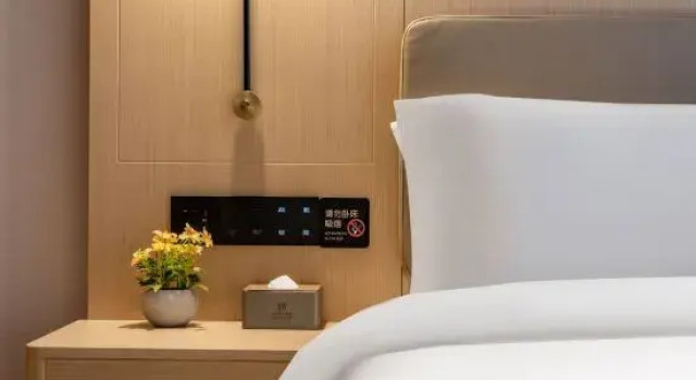 Люкс Superior Padun International All Suite Apartment