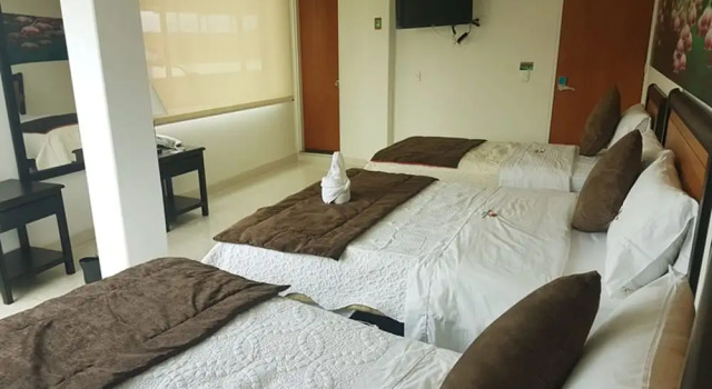 Номер Standard Hotel Santa Monica