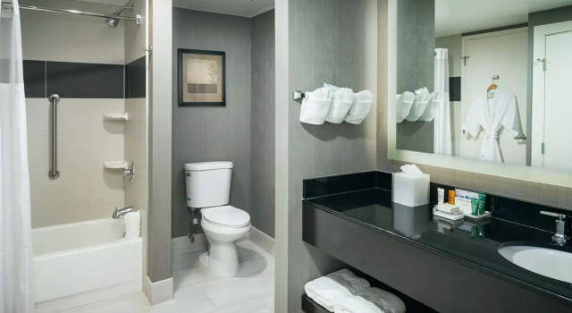 Люкс c 1 комнатой Hilton Suites Brentwood