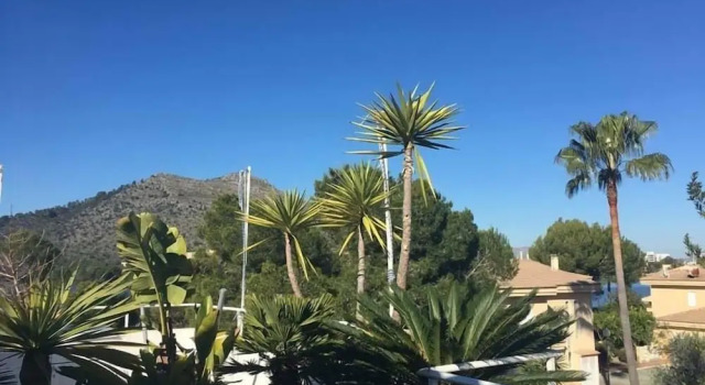 Standard Doppel Zimmer mit Seeblick Apartment Beach Inn