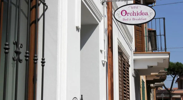 Номер Economy Orchidea Rooms & Suites