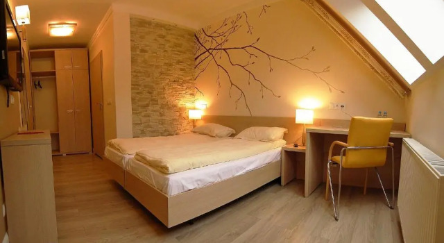 Номер Standard Dolina Leśnicy SKI & SPA Resort