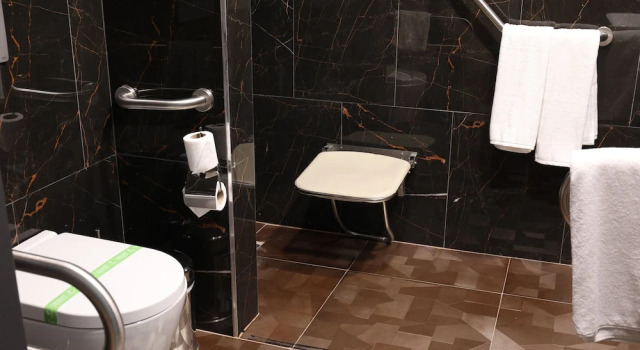 Двухместный номер Premium Holiday Inn - Trabzon-East by IHG