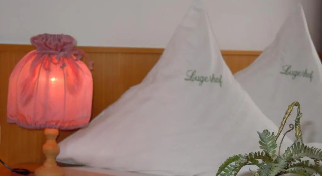 Номер Economy Hotel Lugerhof