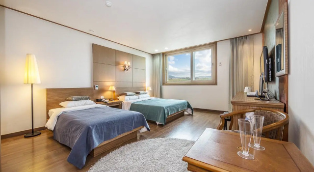 Двухместный номер Standard Venezia Hotel